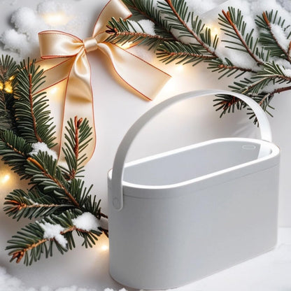 Portable LED Light Storage Box Beauty And Makeup Mirror
